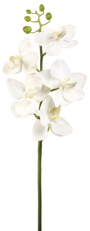 Crenguta de orhidee H42 CM