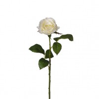 Trandafir JANA,alb,H50CM