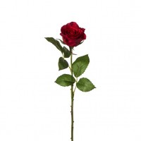 Trandafir JANA,rosu,H50CM