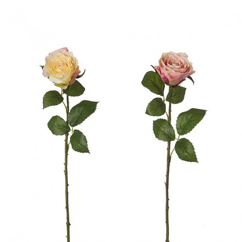 Trandafir JANA,roz,H50CM