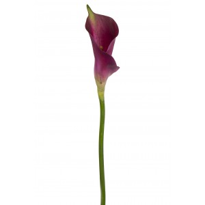 Цветок Калла,Н90см