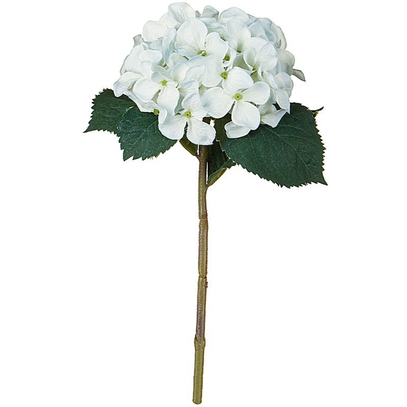 Hortensie albastra H27CM