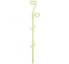 Suport pentru flori L5,1cm,H39cm,transparent verde