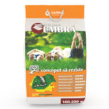 Seminte de gazon Umbra 4 kg