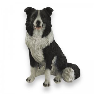 Element decor ciine Collie